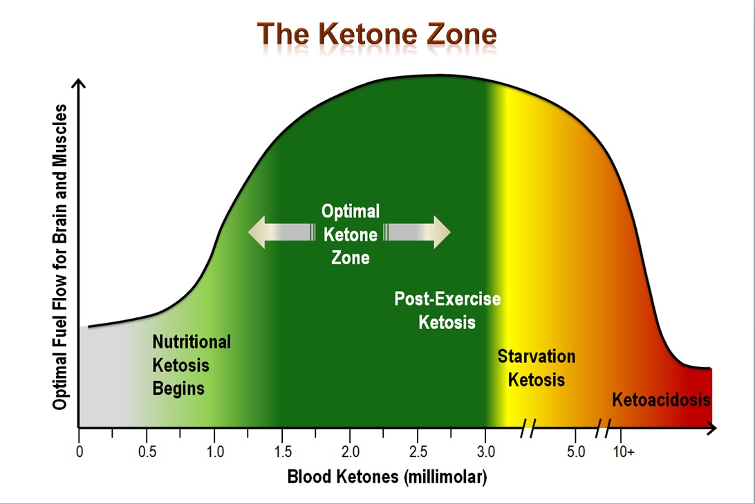 TheKetoneZone.jpg